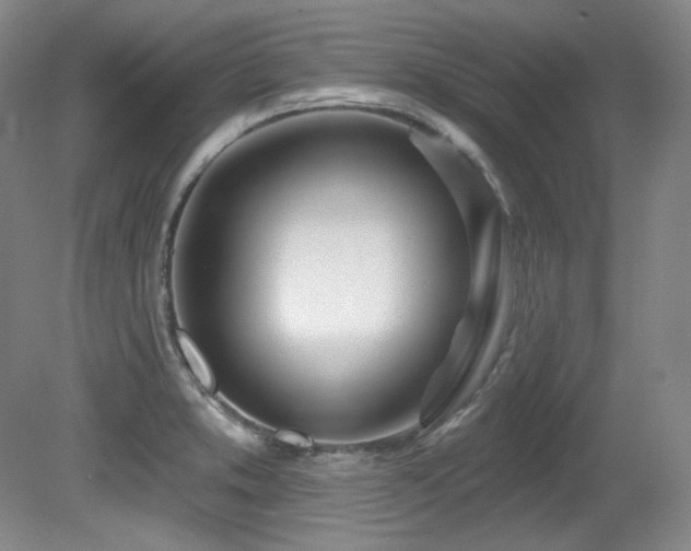 X0000080791373200612151444