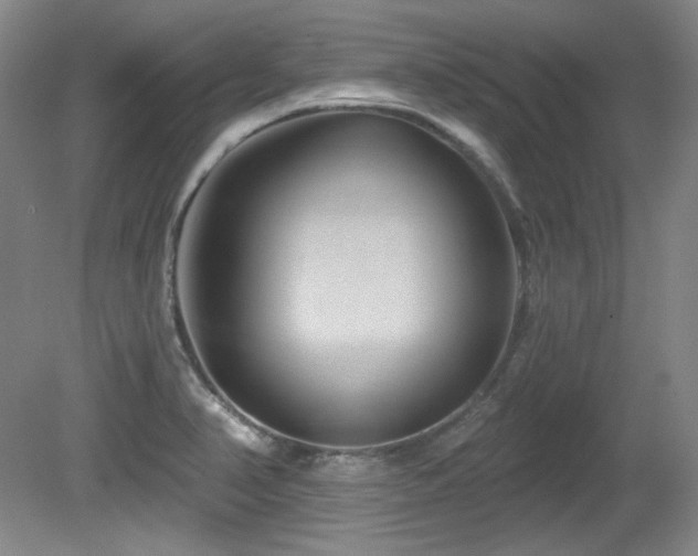 X0000080791374200612151444
