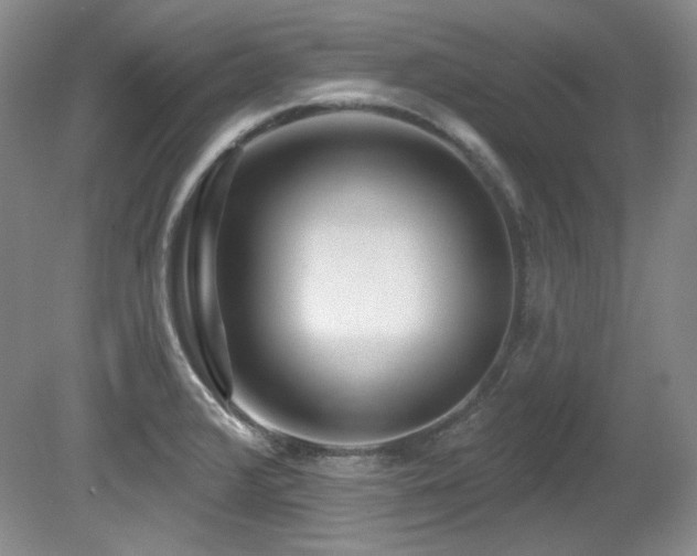 X0000080791376200612151444