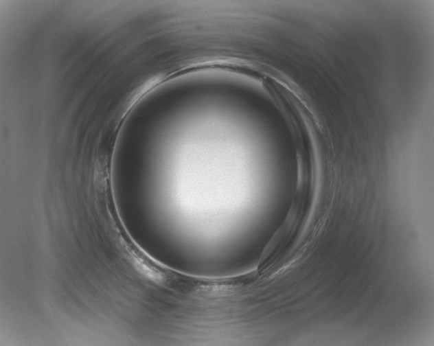 X0000080791377200612151443