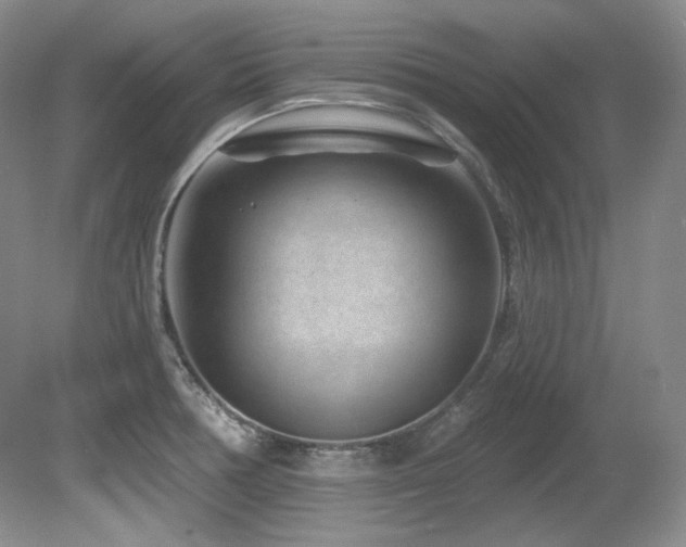X0000080791378200612151443