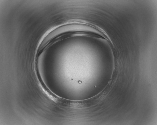 X0000080791379200612151443