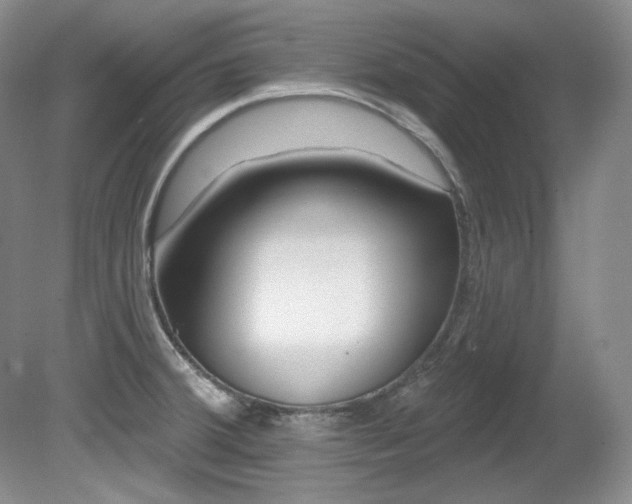 X0000080791380200612151443