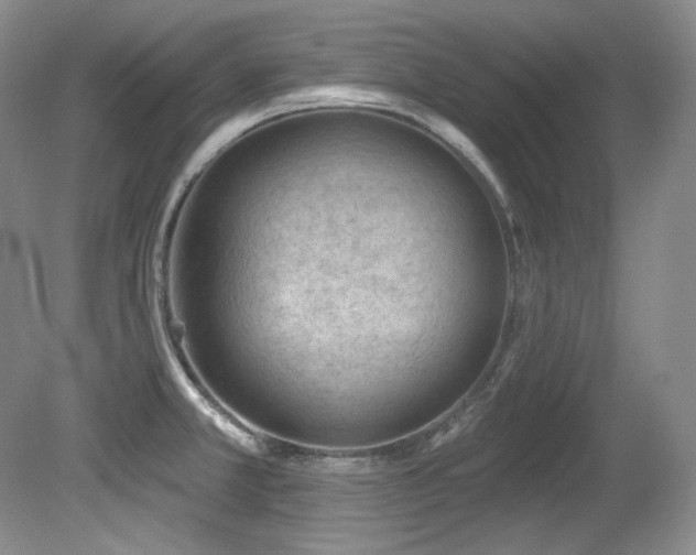 X0000080791381200612151443