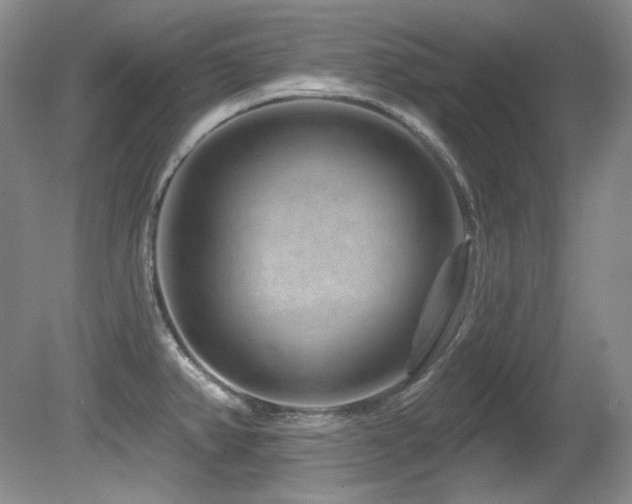 X0000080791382200612151443