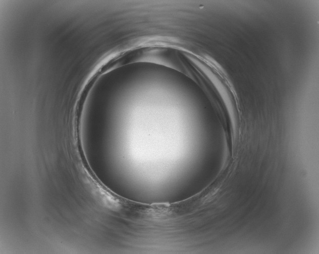 X0000080791384200612151443