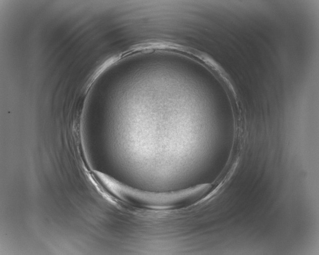 X0000080791385200612151443