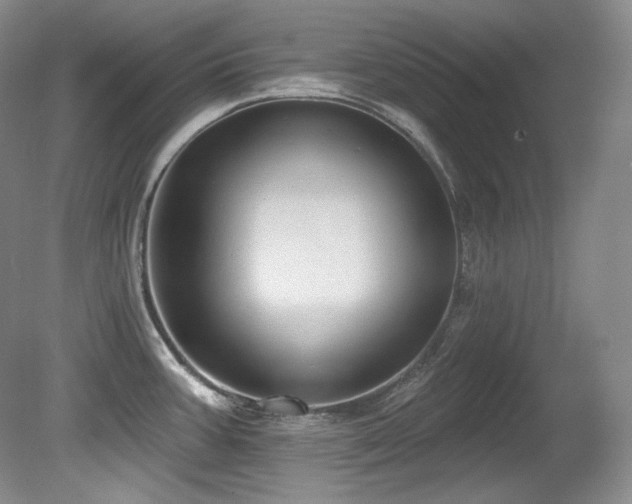 X0000080791387200612151443