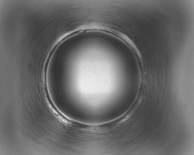X0000080791388200612151443