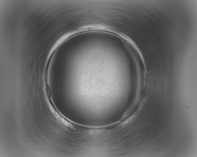 X0000080791389200612151443