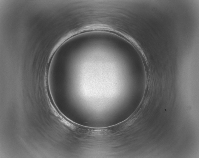 X0000080791390200612151443