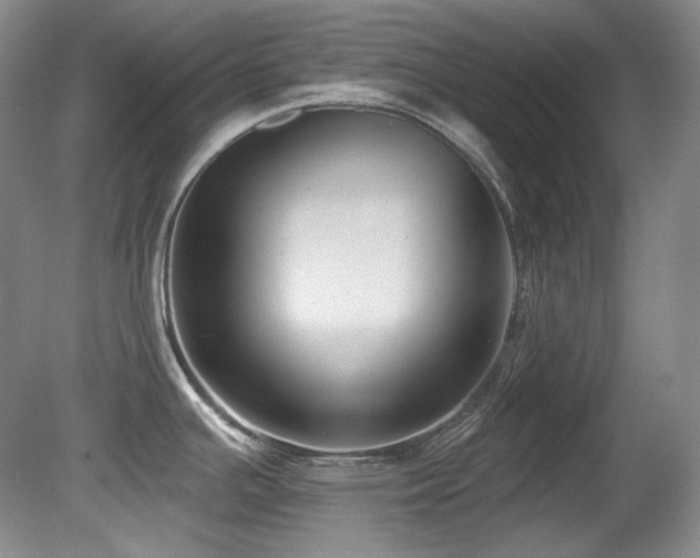 X0000080791391200612151443