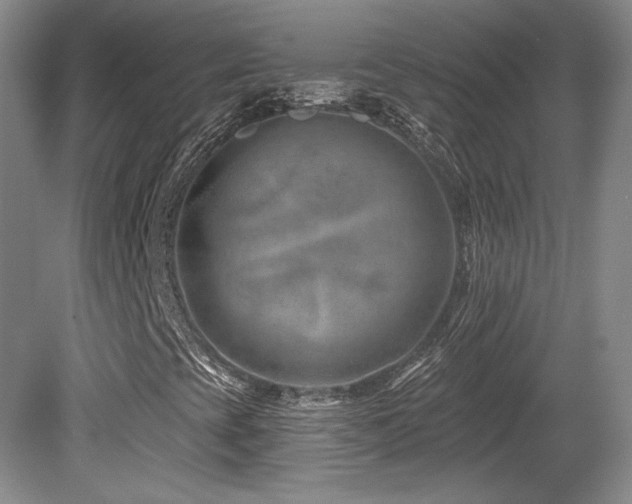 X0000080791393200612151442