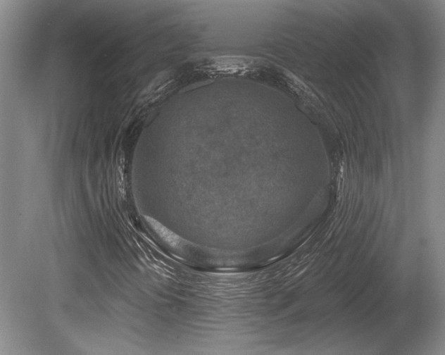X0000080791394200612151442