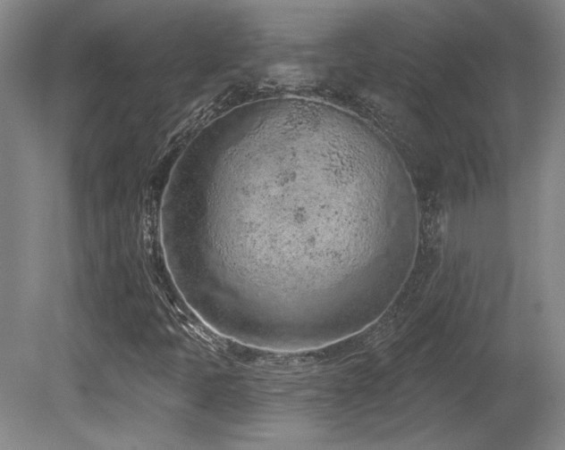 X0000080791397200612151442