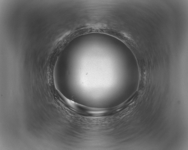 X0000080791398200612151443