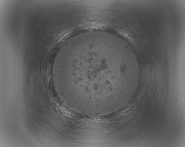 X0000080791399200612151443