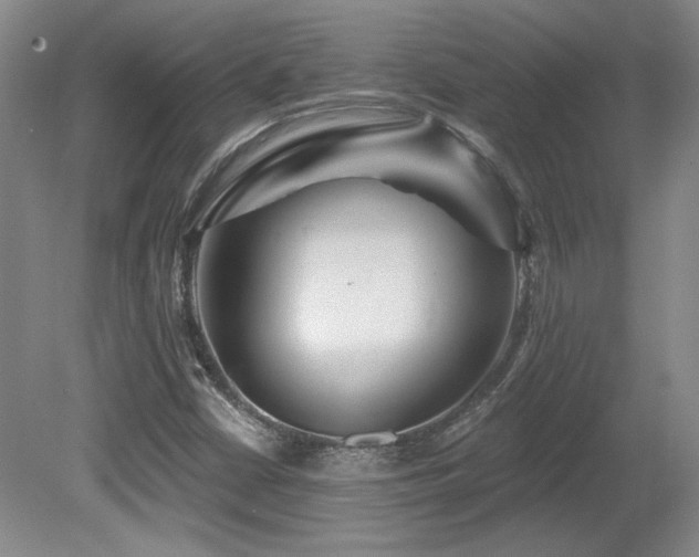 X0000080791402200612151443