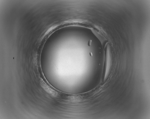 X0000080791404200612151443