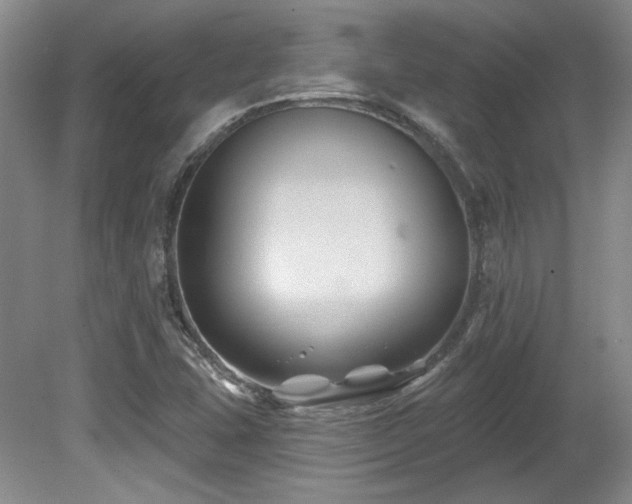 X0000080791407200612151443