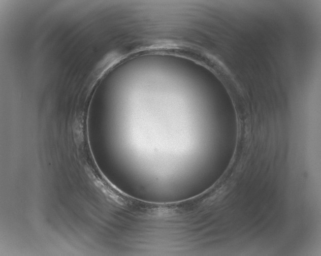 X0000080791409200612151443