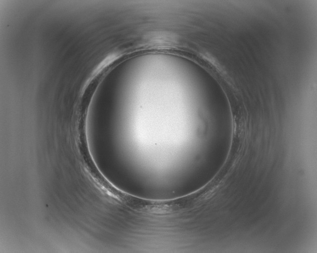X0000080791410200612151443