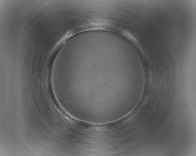 X0000080791411200612151443