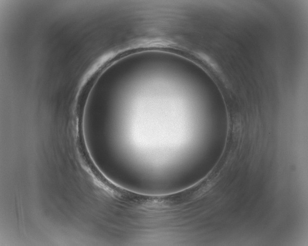 X0000080791414200612151443