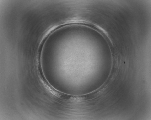 X0000080791415200612151443