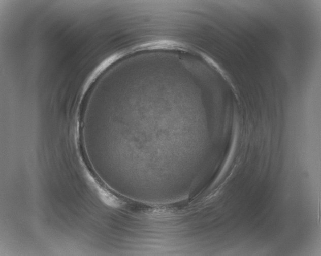 X0000080791418200612151443