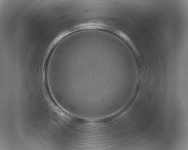 X0000080791419200612151443