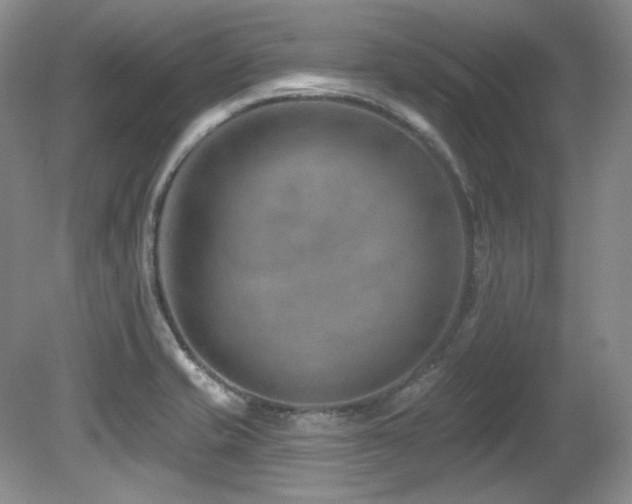 X0000080791421200612151443