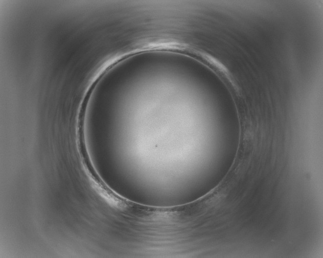 X0000080791423200612151443