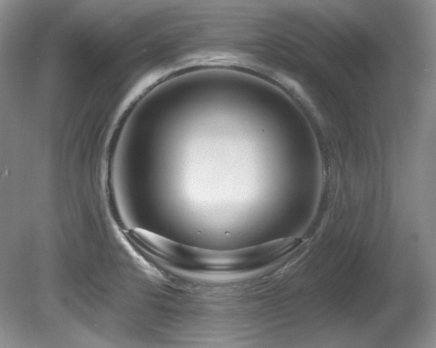X0000080791424200612151443