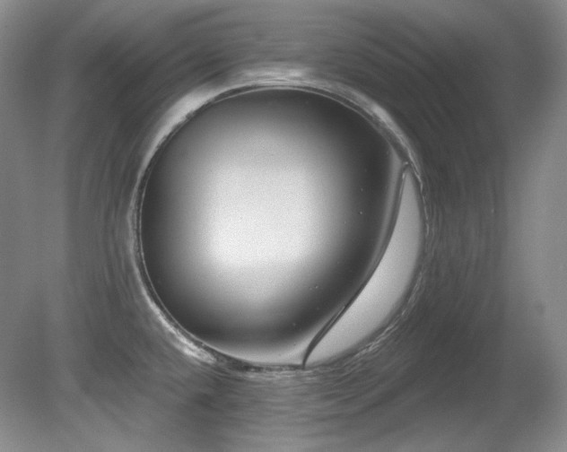 X0000080791432200612151443