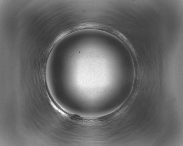 X0000080791433200612151443