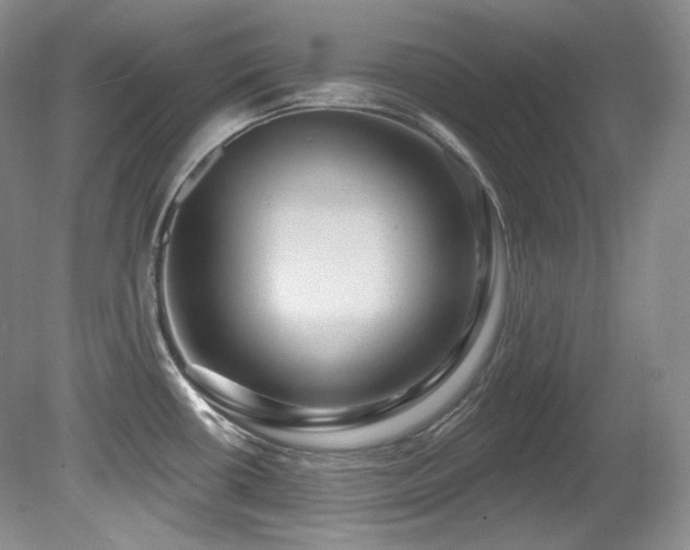 X0000080791434200612151443