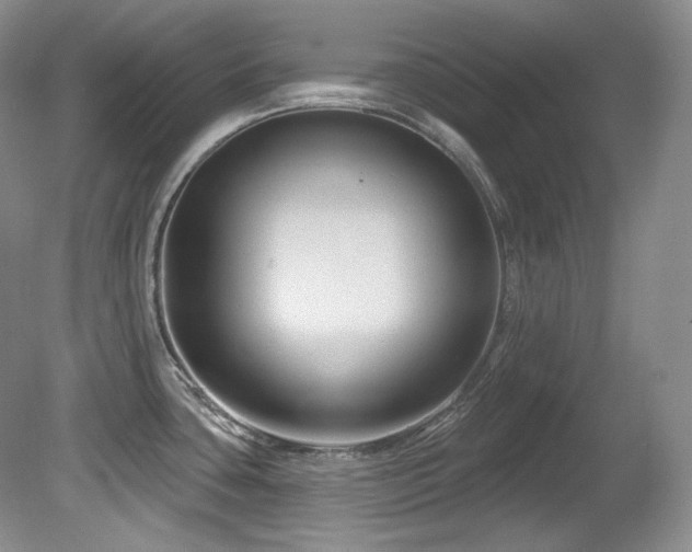 X0000080791435200612151443