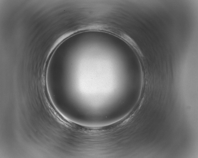 X0000080791436200612151443