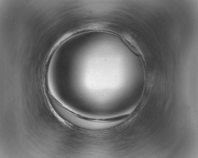 X0000080791437200612151443