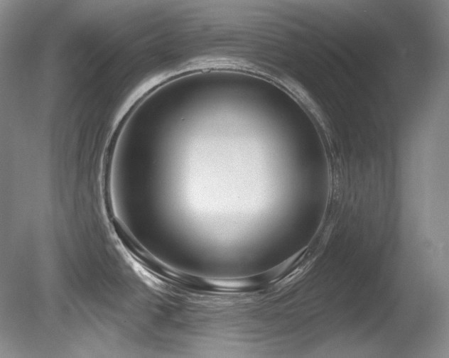 X0000080791438200612151443