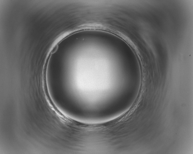 X0000080791440200612151443
