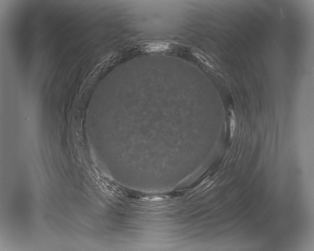 X0000080791441200612151442