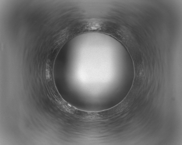 X0000080791442200612151442