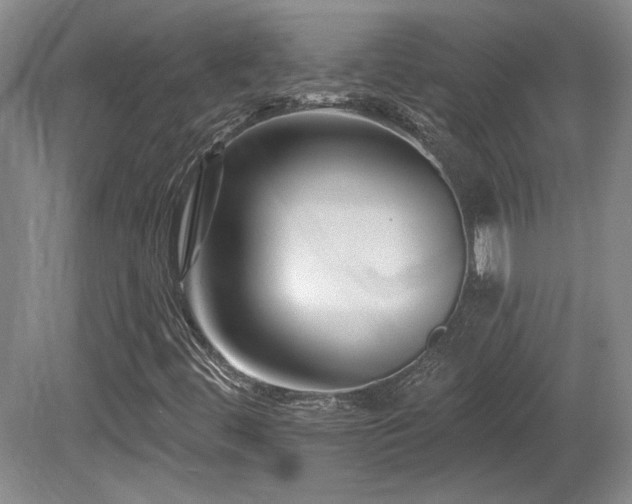 X0000080791444200612151442