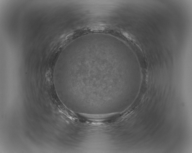 X0000080791445200612151442