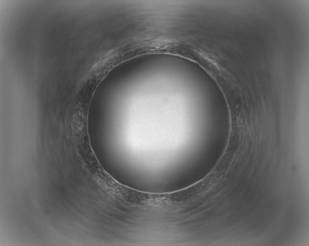 X0000080791447200612151442