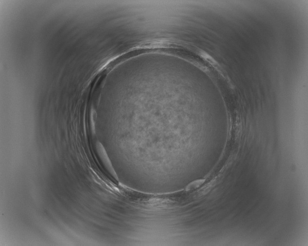 X0000080791449200612151442