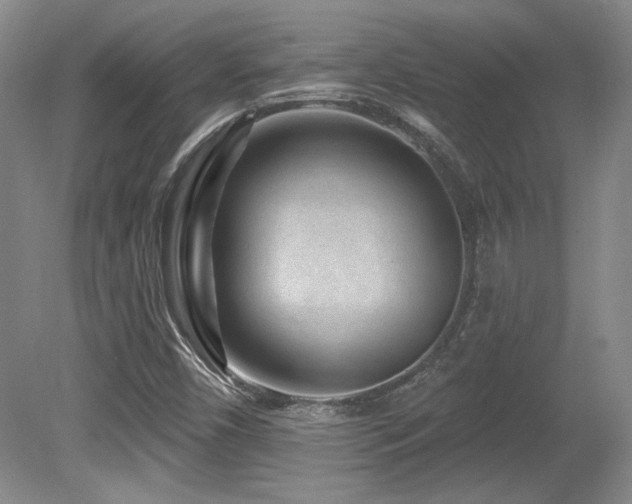 X0000080791450200612151442