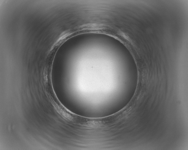 X0000080791451200612151442